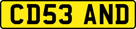 CD53AND