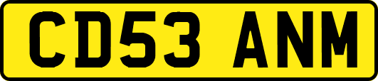 CD53ANM