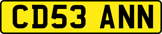 CD53ANN