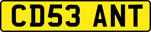 CD53ANT