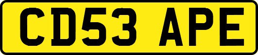 CD53APE