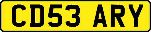 CD53ARY