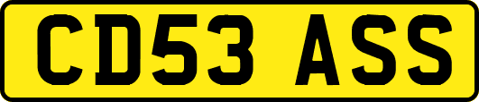 CD53ASS