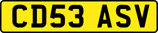 CD53ASV