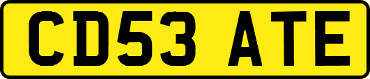 CD53ATE