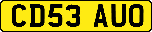 CD53AUO