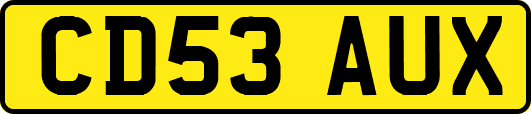 CD53AUX
