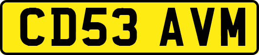 CD53AVM