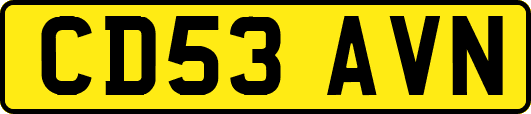 CD53AVN