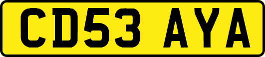 CD53AYA