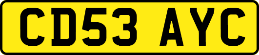 CD53AYC