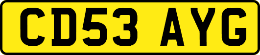 CD53AYG