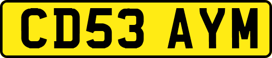 CD53AYM