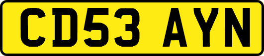 CD53AYN
