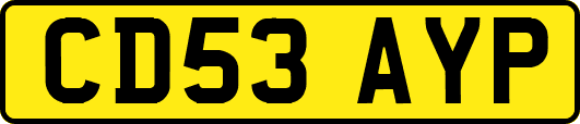 CD53AYP