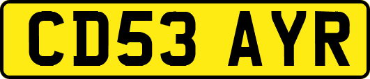 CD53AYR
