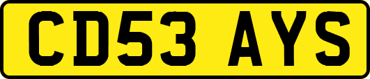 CD53AYS