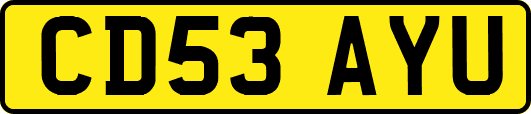 CD53AYU