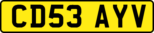 CD53AYV