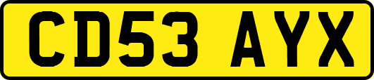 CD53AYX