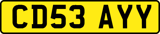CD53AYY