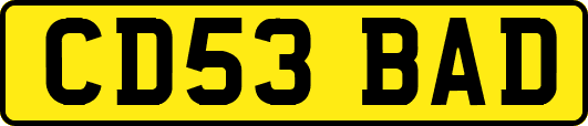 CD53BAD