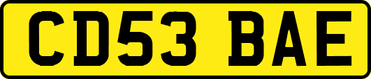 CD53BAE