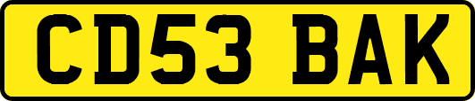 CD53BAK