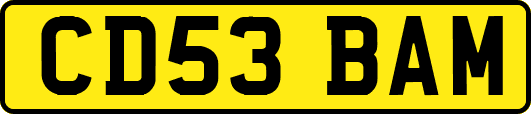 CD53BAM