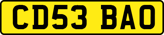 CD53BAO