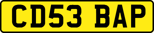 CD53BAP