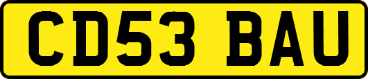 CD53BAU