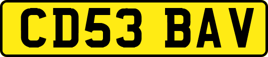 CD53BAV