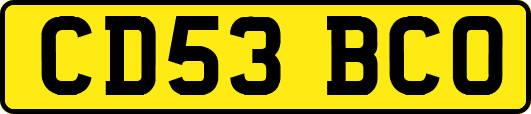 CD53BCO