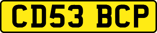 CD53BCP