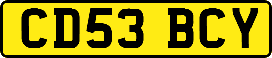 CD53BCY