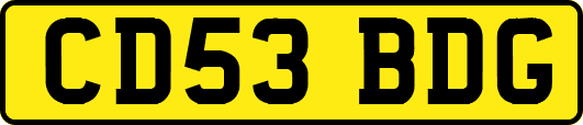 CD53BDG