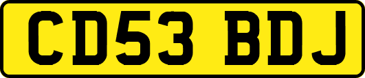 CD53BDJ