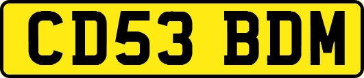 CD53BDM