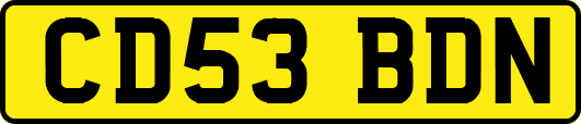 CD53BDN