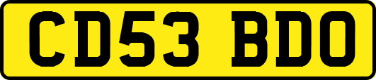 CD53BDO