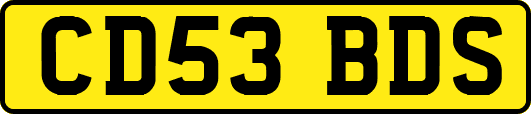 CD53BDS