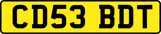 CD53BDT