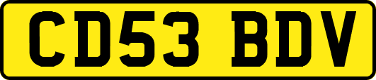 CD53BDV