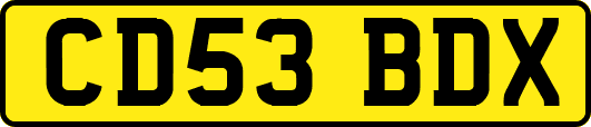 CD53BDX
