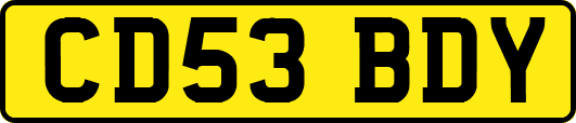CD53BDY