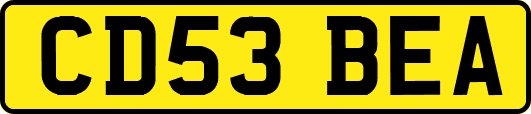 CD53BEA
