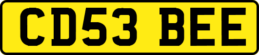 CD53BEE