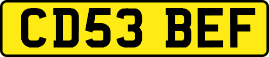 CD53BEF