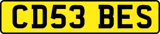 CD53BES